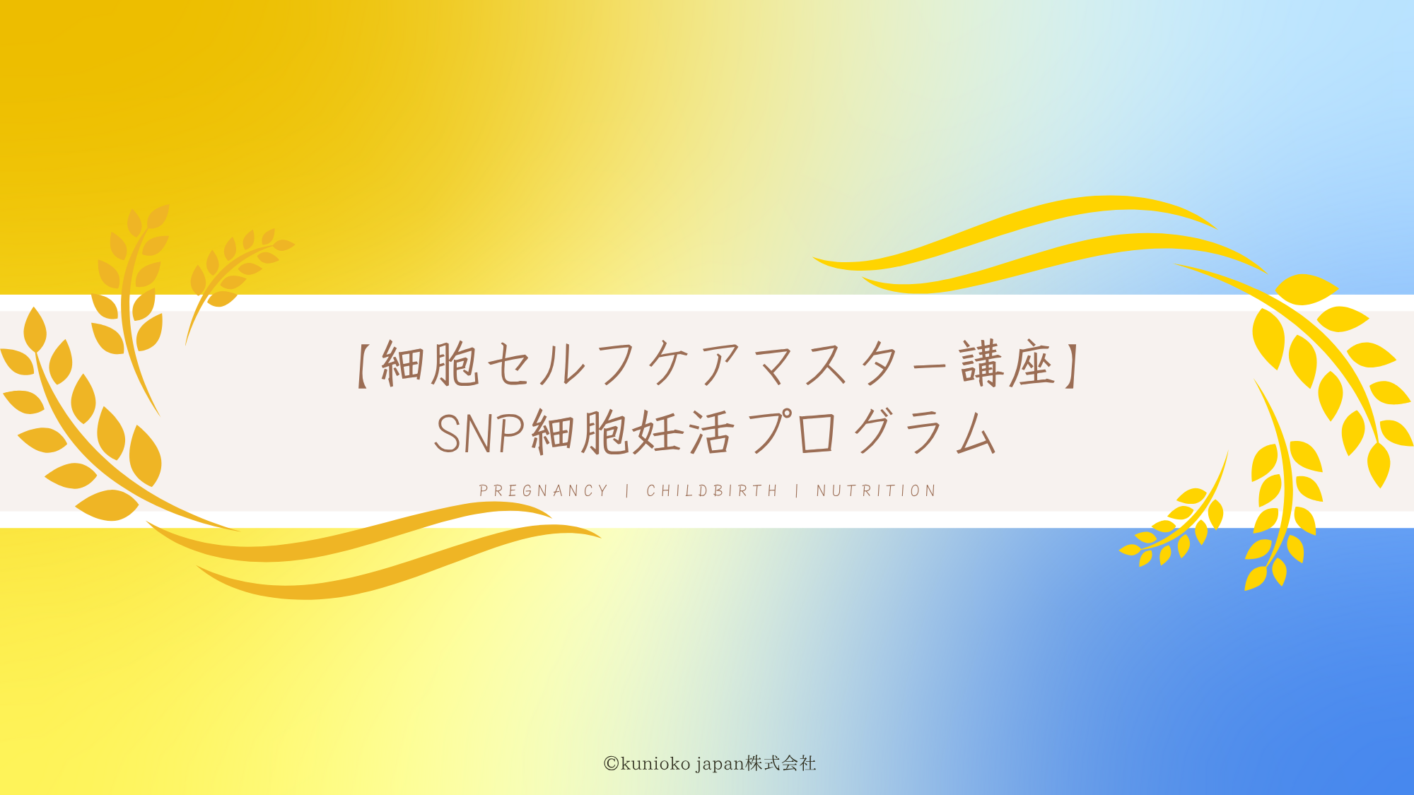 細胞セルフケアマスター講座
